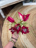 Mini Protea Spray