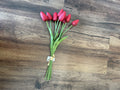 Petite Tulip 9- Piece Bundle-Red