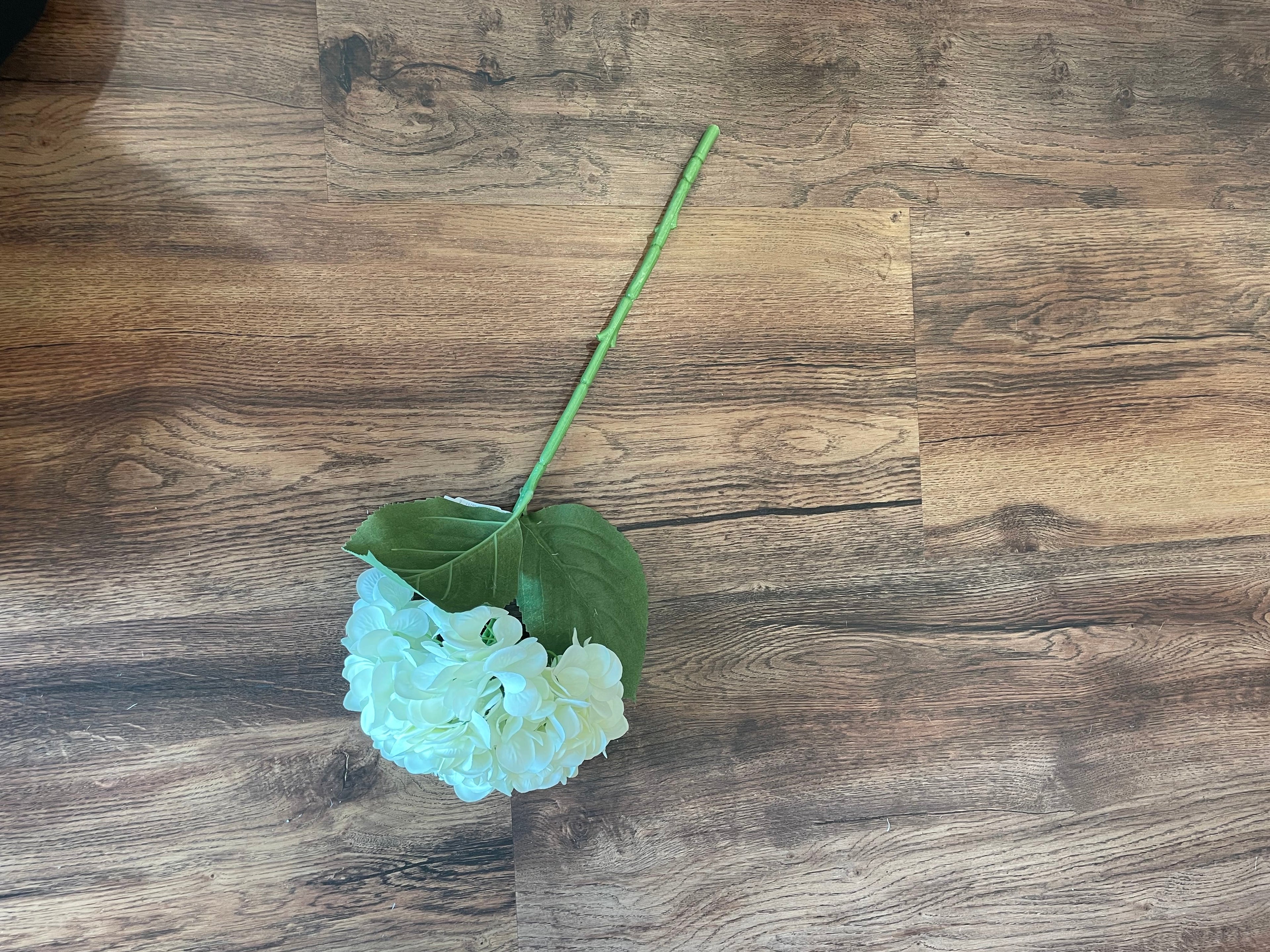 Hydrangea Spray